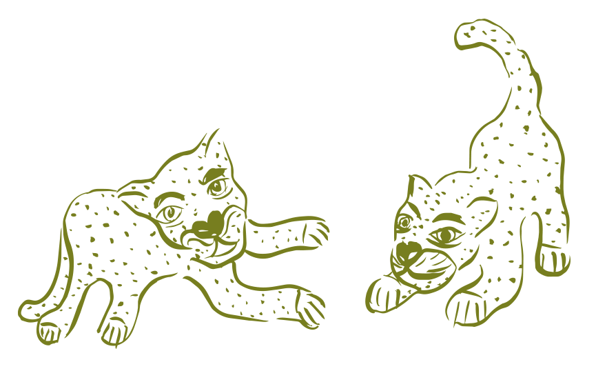 jaguar1
